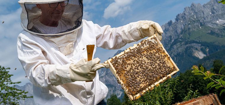 Going_Handwerk_Imker_Recheis_Toni_Sommer2019_Martin_Lifka (2)