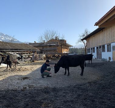 Christian und neugieriges Wagyu-Rind