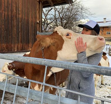 Junge Frau streichelt den Kopf einer Kuh