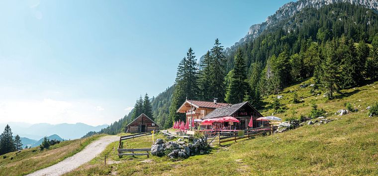 Steiner-Hochalm_Scheffau_Foto Stefan Leitner (2)