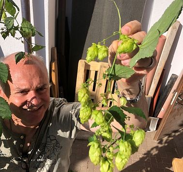 Sunnseit Bräu Marktplatz Wilder Kaiser Hopfenernte Fotos Sunnseit Bräu