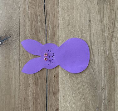 Violetter Hase_04_fertig Vorderseite