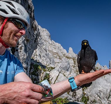 Wilder_Kaiser_Sportler_Klettern_Leuchsturm_Whisky_Cigarettes_Sommer2021_hochzwei (37)