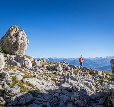 Wilder_Kaiser_Sportler_Klettern_Leuchtsturm_Bolts_Rock_Roll_Sommer2021_hochzwei (22)
