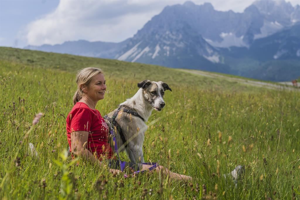 Hunde Pack Walk das etwas andere Gassi gehen