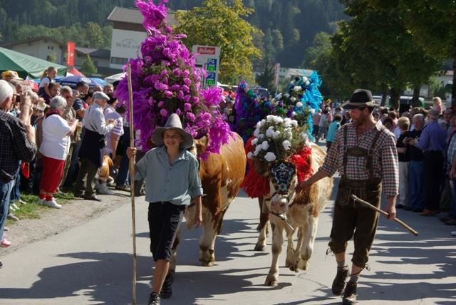 ABGESAGT 41. Almabtrieb in Söll