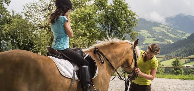 A Morning at the Horse Farm