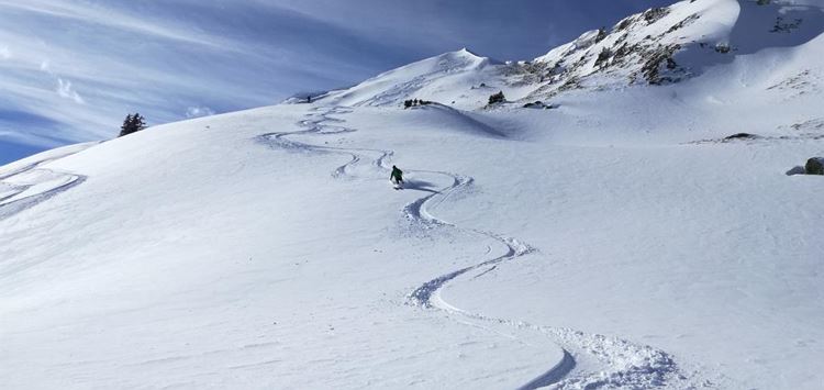 Freeride - Tiefschneevergnügen