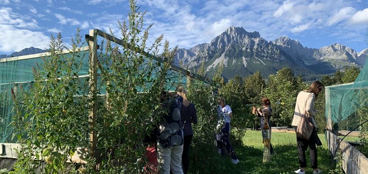 Kaiserschnecke: guided tour with tasting at the snail farm