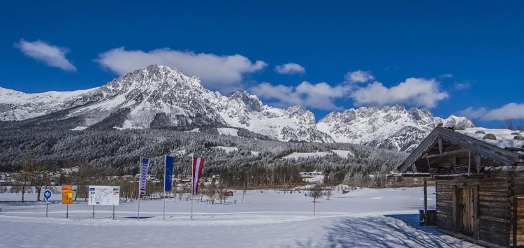 Cross country ski training