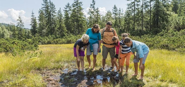 Ranger Training in the High Moor - swamp hike for families