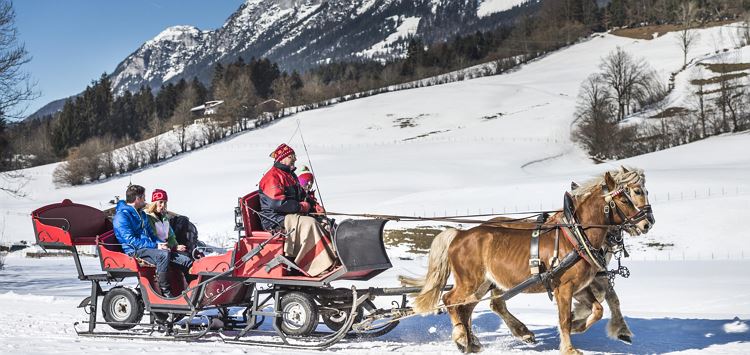 Panoramic Horse drawn carriage ride