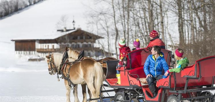 Horse drawn carriage ride