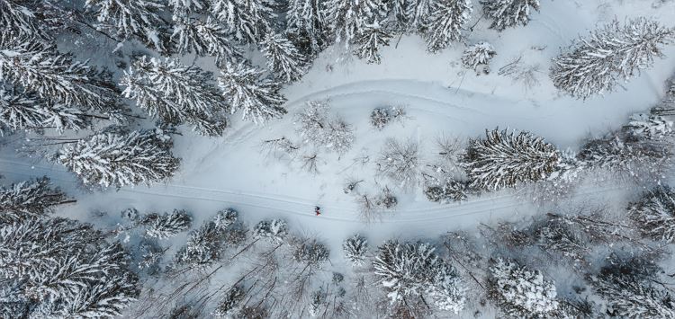 Winter Hike with Yoga and Cocoa Ritual