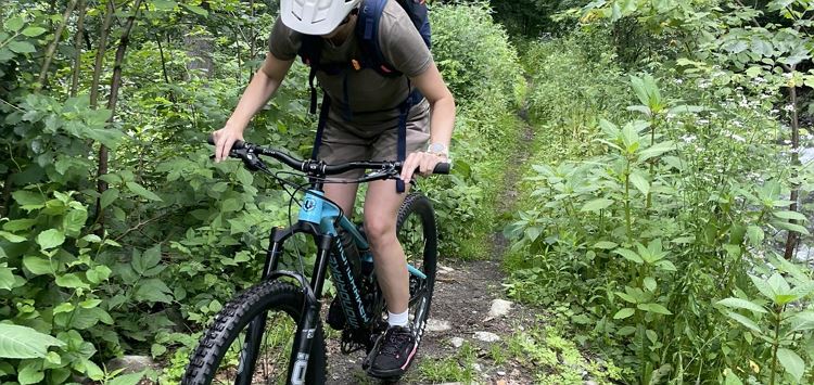 Bike Lizenz 1 4