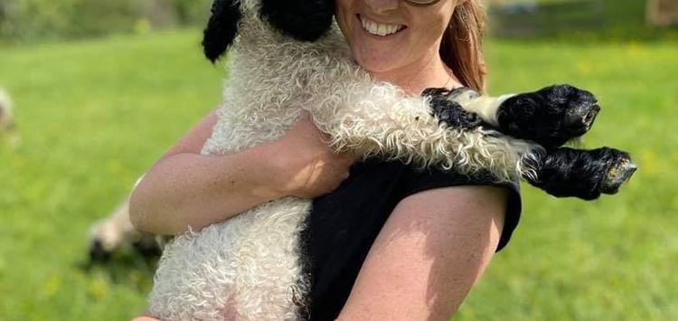 Bild 5 Maria mit Schaf