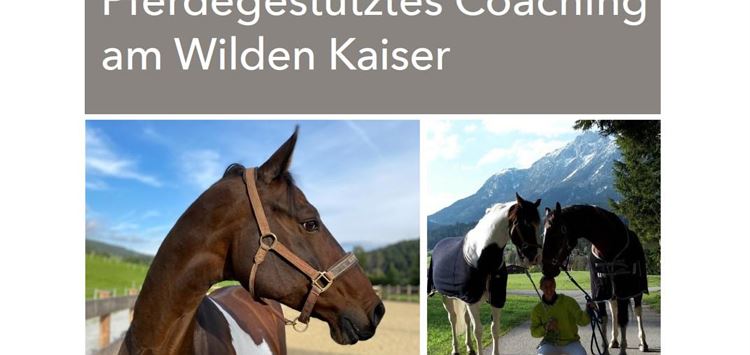 Scheffau_Trattenbachhof_Pferdegestütztes Coaching