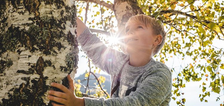 Forest bathing in the eventful Kaiserforest