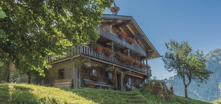 Köpfinghof