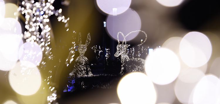Winterwunderwelt