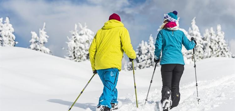 Winter hike in Scheffau