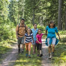Ellmauer Wanderwoche - Entdecke das Ellmauer Hochmoor