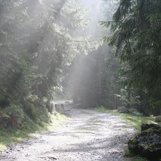 Ellmauer Wanderwoche - Geheimnisse des Wilden Kaisers
