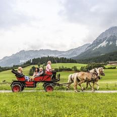 Horse drawn carriage - film 