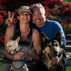 Dog Pack Walk