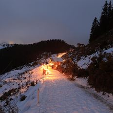 Kaiserweeks - guided lantern hike at the Hartkaiser