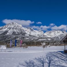 Cross country ski training