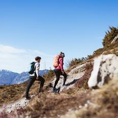 MARCHplus Hike to see chamois
