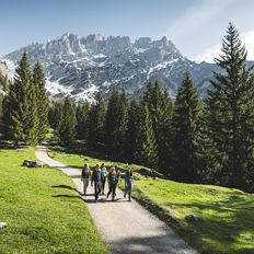 MARCHplus Hike to see chamois