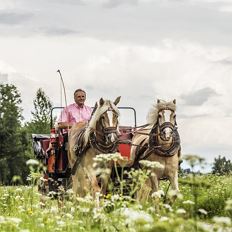 Horse drawn carriage ride around Ellmau