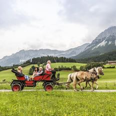 Film- Pferdekutschenfahrt zum Dorfplatz