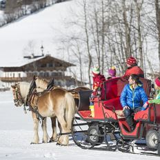 Horse drawn carriage ride