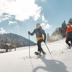 Geführte Schneeschuhwanderung in Scheffau