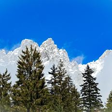 MARCHplus Spring hike