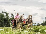 Horse-drawn carriage ride in Going