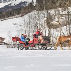 Pferdeschlittenfahrt in Going Montag 15:00 Uhr