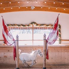 Zauberhaftes Adventreiten