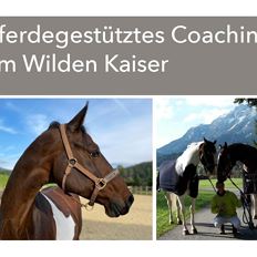 Horse-assisted coaching 'time just for you'