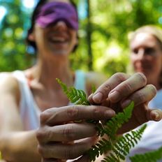 Waldbaden - Naturwellness am Wilden Kaiser