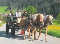 Carriage ride in Söll