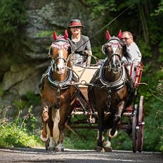 Sommerliche Kutschenfahrt zum Kennenlernen