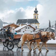 Horse - drawn carriage ride