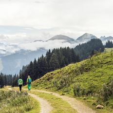 47. Söller Wandertag