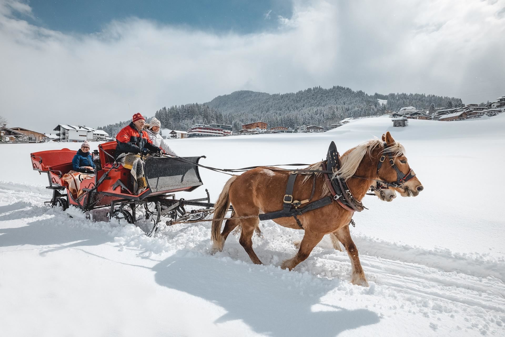 Winterliche-Pferdekutschenfahrt
