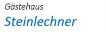 Steinlechner Logo4