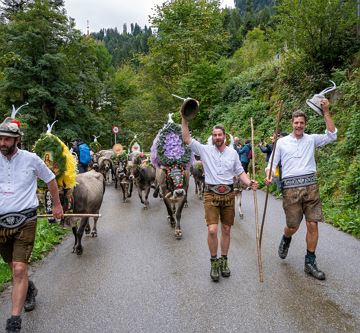 Almabtrieb in Söll am Wilden Kaiser